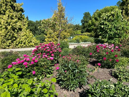 Botanická zahrada 5.A