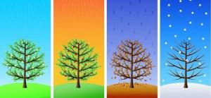 Čtvero ročních období